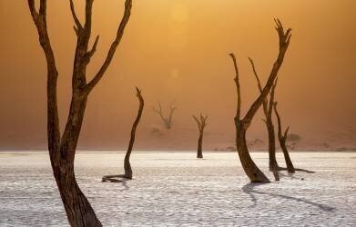 Ascension (Fegari) - Muzeo.com