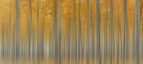 Autumn Delight (Lydia Jacobs) - Muzeo.com