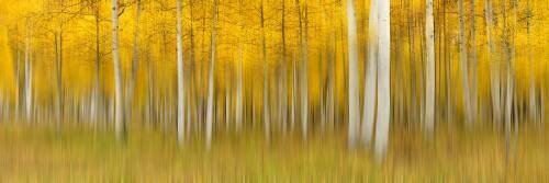 Autumn Dream (Mei Zu) - Muzeo.com