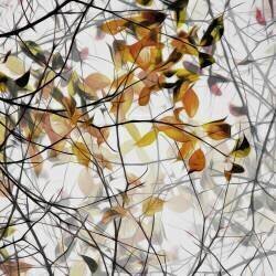 Autumn song (Gilbert Claes ) - Muzeo.com