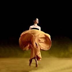 Ballerina dancer (Agus Adriana) - Muzeo.com