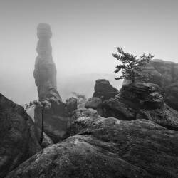 Barbarin (Ronny Behnert) - Muzeo.com