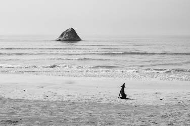 Baying Rocks (Lukasz Kaluza) - Muzeo.com