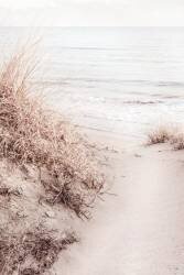 Beach 10 (1x Studio III) - Muzeo.com