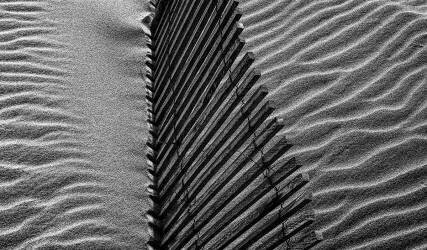 Beach House (Paulo Abrantes ) - Muzeo.com