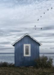 Beach hut (Lotte Gronkjar) - Muzeo.com