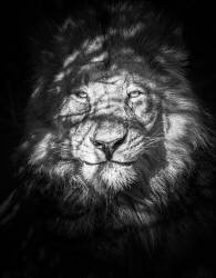 Being watched (Mike Taylor) - Muzeo.com