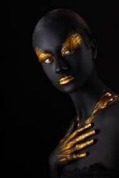 Black Swan (Ionut Jarca) - Muzeo.com