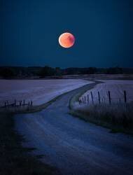 Bloodmoon 2018 (Christian Lindsten) - Muzeo.com