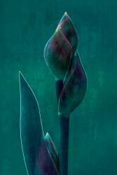 Blue charade (Chris Hamilton) - Muzeo.com