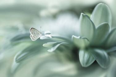 Bola ajaib (Arief Setiawan) - Muzeo.com