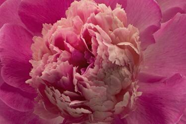 Boom (Richard Urbanski) - Muzeo.com