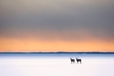 Brotherhood (Eiji Itoyama) - Muzeo.com
