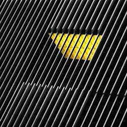 Caged window (Marc Huybrighs) - Muzeo.com