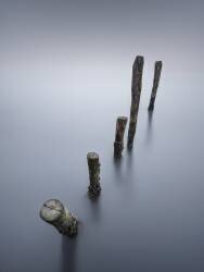 Cinque (Ronny Behnert) - Muzeo.com