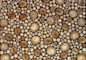 Circles (Aida Ianeva) - Muzeo.com