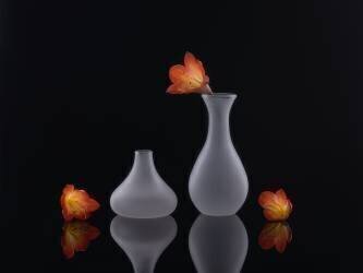Clivia (Qing Li) - Muzeo.com