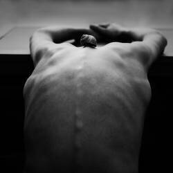 Cochlea (Mirjam Delrue) - Muzeo.com