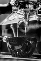 Coffee 007 (1x Studio III) - Muzeo.com