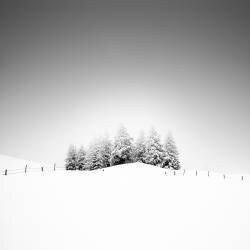 Cohesion (Alexej Schulz) - Muzeo.com