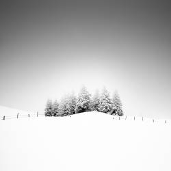 Cohesion (Alexej Schulz) - Muzeo.com