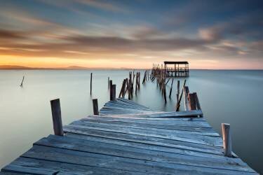 Collapsed (Rui David) - Muzeo.com