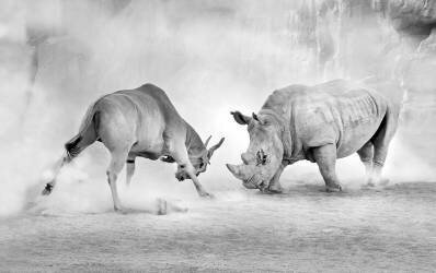 Combat (Juan Luis Duran) - Muzeo.com