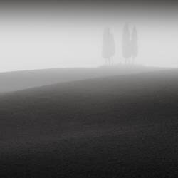 Conference (Ronny Behnert) - Muzeo.com