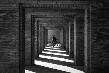 Cyclist (Seyed Shahabeddin Montazeri) - Muzeo.com