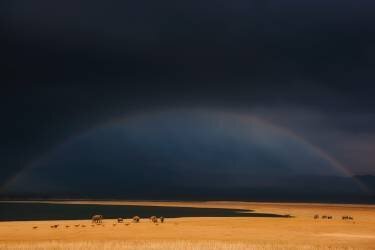 Dark moods (Swapnil) - Muzeo.com