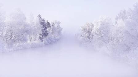 Deep Winter (Norbert Maier) - Muzeo.com