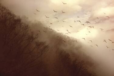 Departure (Kiyo Murakami) - Muzeo.com