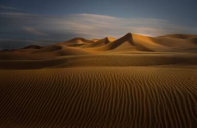 Desert (John-Mei Zhong) - Muzeo.com
