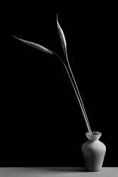 Double (Kristina Oveckova) - Muzeo.com