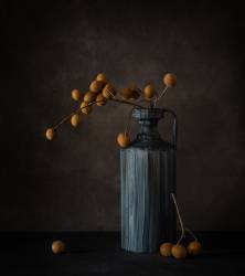 Dragon Eye (May G) - Muzeo.com