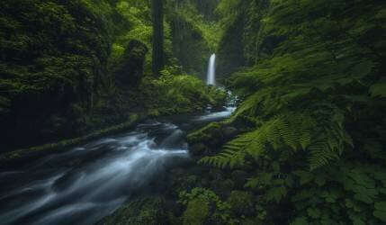 D(r)earest Friend (Ryan Dyar) - Muzeo.com