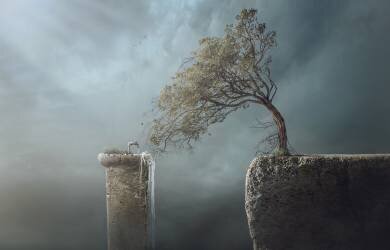 Drink Water (Sulaiman Almawash ) - Muzeo.com