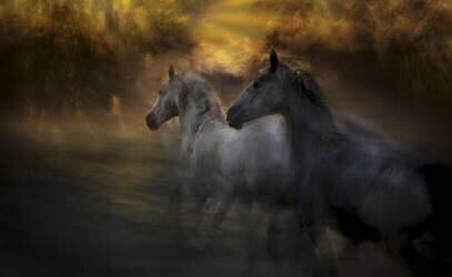 Duel (Milan Malovrh) - Muzeo.com