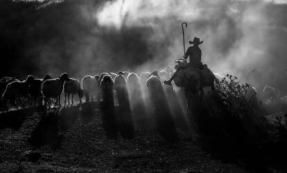 Dust smoke (Ummu Nisan Kandilcioglu) - Muzeo.com