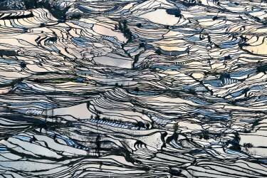 Earth Carpet (George Doupas) - Muzeo.com