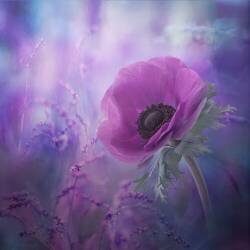 Ecstasy (Natalia Simongulashvili) - Muzeo.com