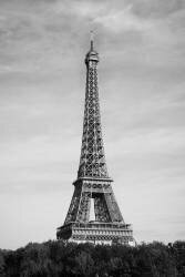 Eiffel Tower (1x Studio III) - Muzeo.com