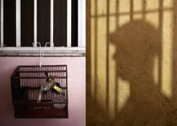 El Aleteo (Miguel Angel Franco) - Muzeo.com