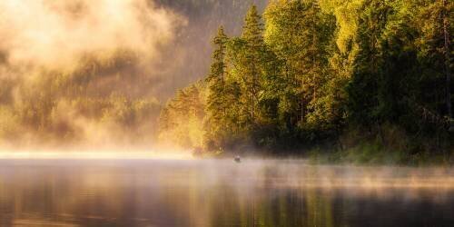 Enjoying Nature (Daniel Gastager) - Muzeo.com