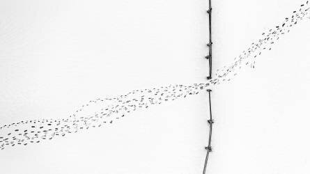 Entrance/Exit (Mei Xu) - Muzeo.com