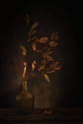 Ephemeral Beauty (Saskia Dingemans) - Muzeo.com