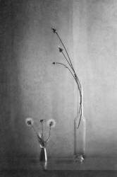 Everything changes (Piera Polo) - Muzeo.com