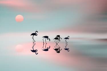 Family flamingos (Natalia Baras) - Muzeo.com