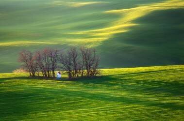 Fields... (Krzysztof Browko) - Muzeo.com