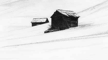 First snow (Uschi Hermann) - Muzeo.com